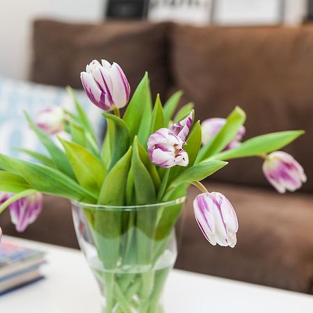 Skolo Apartment Селфосс Экстерьер фото